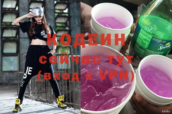 индика Аркадак