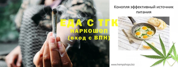индика Аркадак