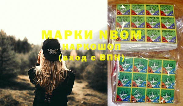 индика Аркадак