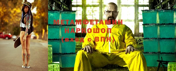 индика Аркадак