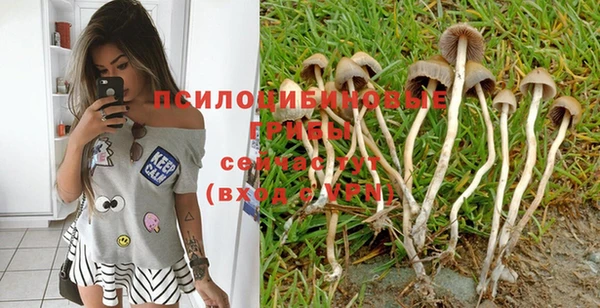 мет Абинск
