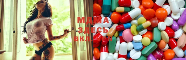 индика Алексин