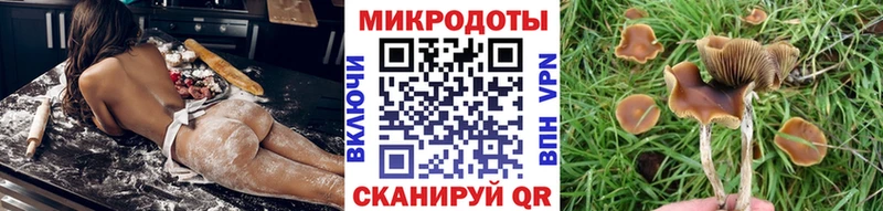 Галлюциногенные грибы Magic Shrooms  Ковров 